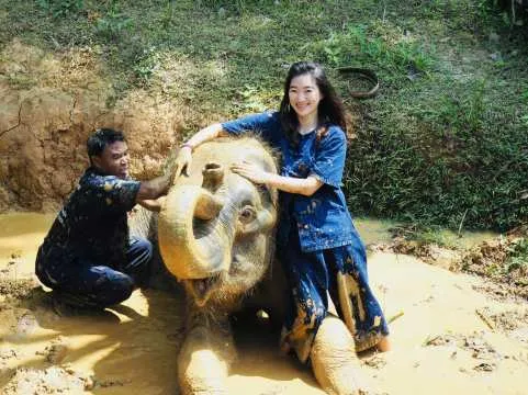 Elephant Care Experience: Feeding, Bathing & Mud Spa in Phuket | Thailand