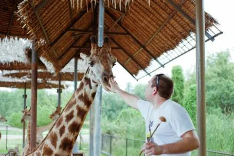 Bangkok Private Day Tour: Safari World with Chocolate Ville or Botanist Activity Space & Cafe and Jodd Fairs