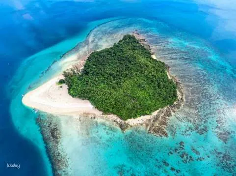 [ Special] Phi Phi, Maya & Bamboo Island by Speedboat Day Tour