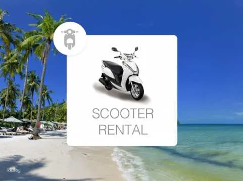 Motorcycle And Scooter Rental in Phu Quoc