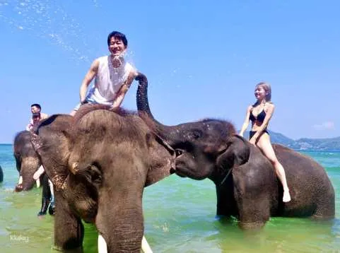 Elephant Swim at Lucky Beach | Thailand