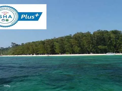 Phi Phi Islands and Bamboo Island by Speedboat