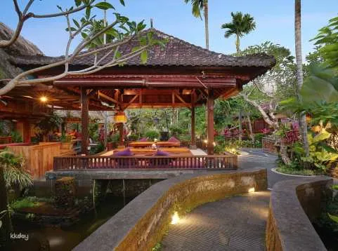 Bebek Bengil Set Meal at Bali- The Best Original Crispy Duck Restaurant | Bali Indonesia