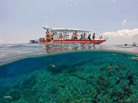 Nusa Lembongan and Nusa Penida Snorkeling Tour Experience