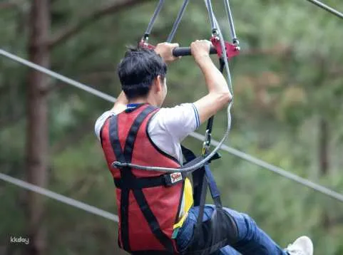 Da Lat Zipline Experience: 1500m Forest Zipline at Datanla Waterfall | Vietnam