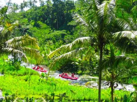 Ayung River Whitewater Rafting with Hotel Transfer | Bali