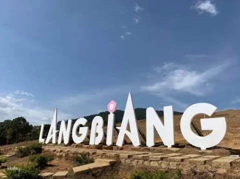 Day Tour | Langbiang -Datanla Waterfall– Crazy House [5% Off]