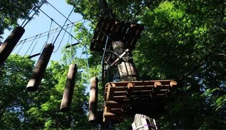 Rope park adventure