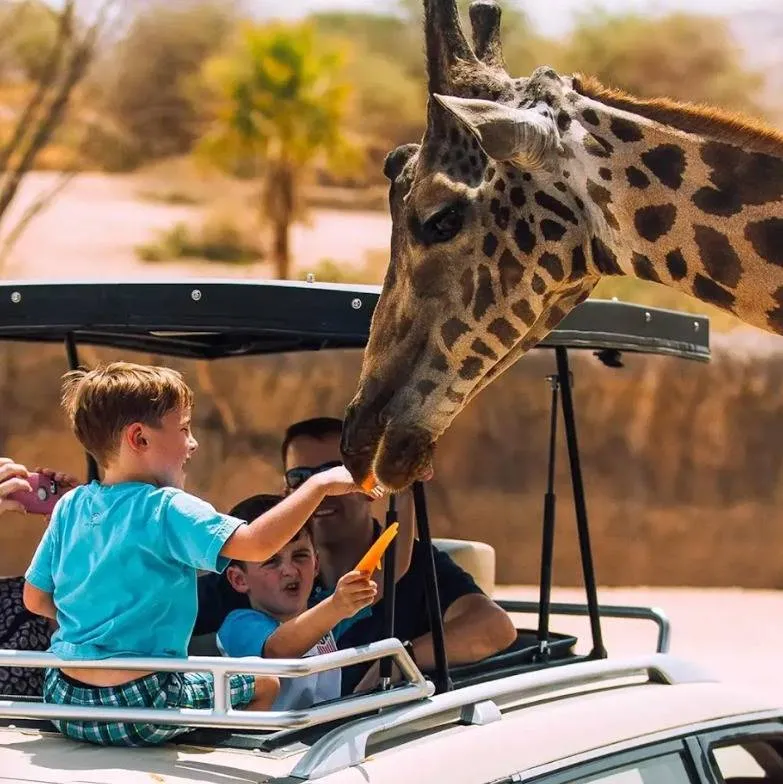 Al Ain Zoo Experience