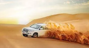 Dubai Morning Safari